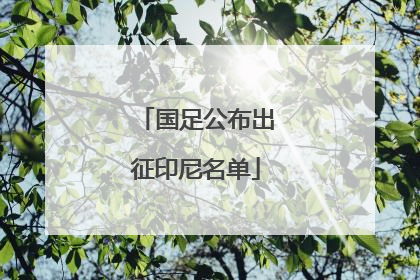 国足公布出征印尼名单