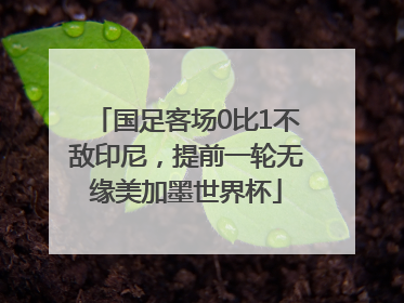 国足客场0比1不敌印尼，提前一轮无缘美加墨世界杯