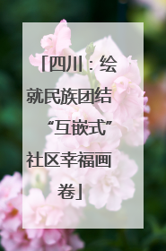 四川：绘就民族团结“互嵌式”社区幸福画卷