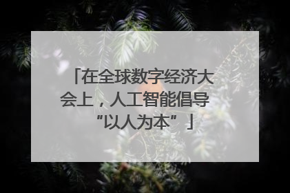 在全球数字经济大会上，人工智能倡导“以人为本”