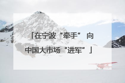 在宁波“牵手” 向中国大市场“进军”