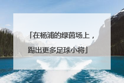 在杨浦的绿茵场上，踢出更多足球小将