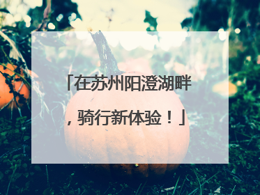 在苏州阳澄湖畔，骑行新体验！