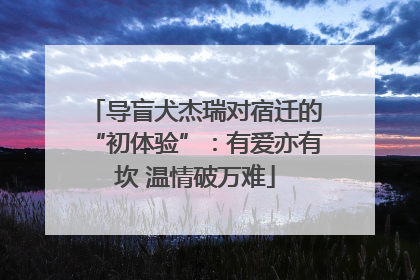 导盲犬杰瑞对宿迁的“初体验”：有爱亦有坎 温情破万难