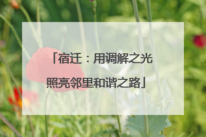 宿迁：用调解之光照亮邻里和谐之路