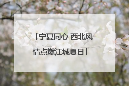 宁夏同心 西北风情点燃江城夏日