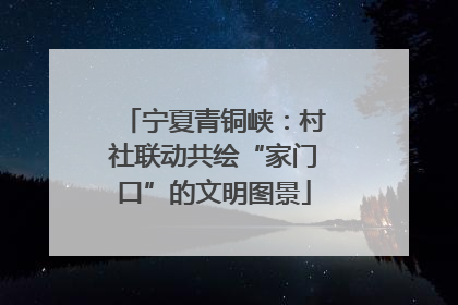 宁夏青铜峡：村社联动共绘“家门口”的文明图景