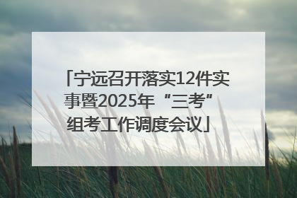 宁远召开落实12件实事暨2025年“三考”组考工作调度会议