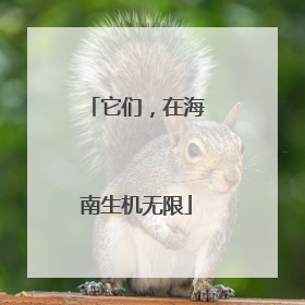 它们，在海南生机无限