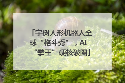 宇树人形机器人全球“格斗秀”，AI“拳王”硬核破圈