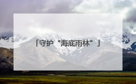 守护“海底雨林”