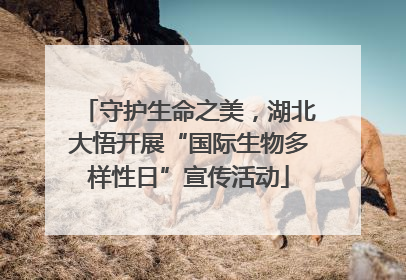 守护生命之美，湖北大悟开展“国际生物多样性日”宣传活动