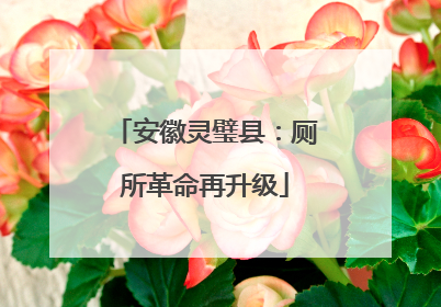 安徽灵璧县：厕所革命再升级