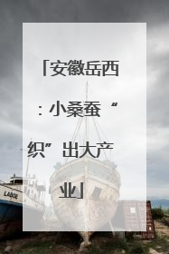 安徽岳西：小桑蚕“织”出大产业