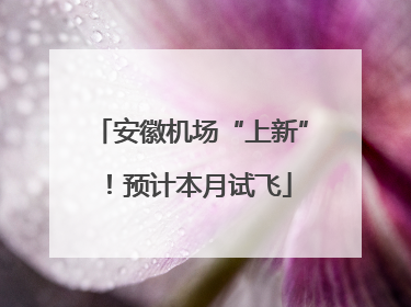 安徽机场“上新”！预计本月试飞