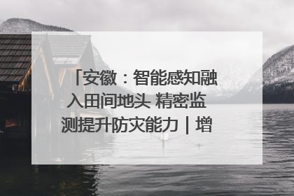 安徽：智能感知融入田间地头 精密监测提升防灾能力｜增发国债气象项目落地见效系列报道