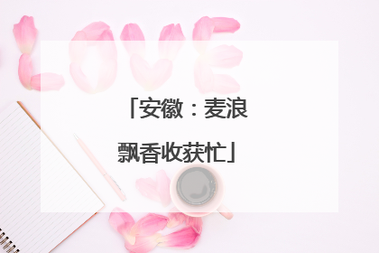 安徽：麦浪飘香收获忙