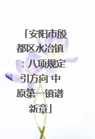 安阳市殷都区水冶镇：八项规定引方向 中原第一镇谱新章