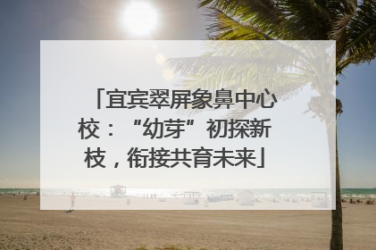 宜宾翠屏象鼻中心校：“幼芽”初探新枝，衔接共育未来