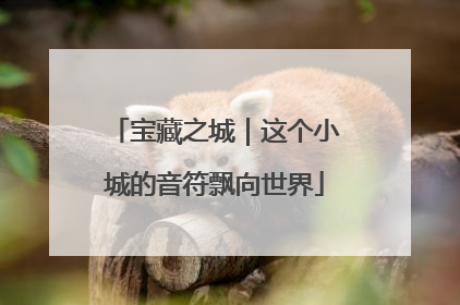 宝藏之城｜这个小城的音符飘向世界