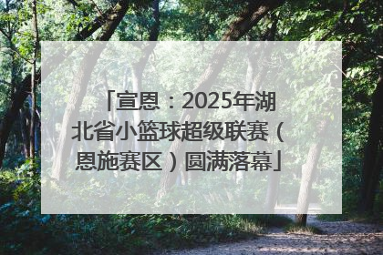 宣恩：2025年湖北省小篮球超级联赛（恩施赛区）圆满落幕
