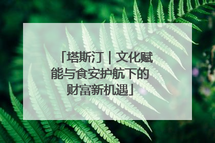 塔斯汀｜文化赋能与食安护航下的财富新机遇