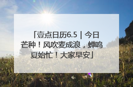 壹点日历6.5｜今日芒种！风吹麦成浪，蝉鸣夏始忙！大家早安