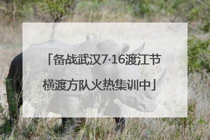 备战武汉7·16渡江节 横渡方队火热集训中