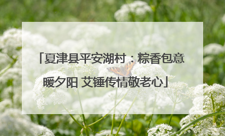 夏津县平安湖村：粽香包意暖夕阳 艾锤传情敬老心