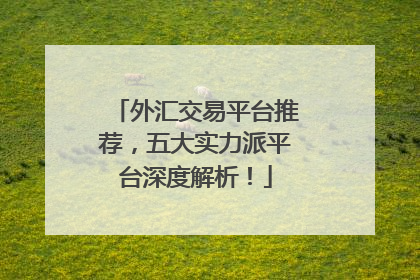 外汇交易平台推荐，五大实力派平台深度解析！