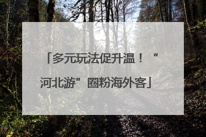 多元玩法促升温！“河北游”圈粉海外客