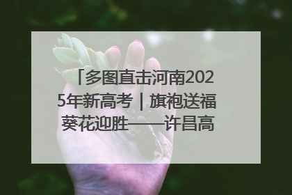 多图直击河南2025年新高考｜旗袍送福 葵花迎胜——许昌高考首日拉开帷幕