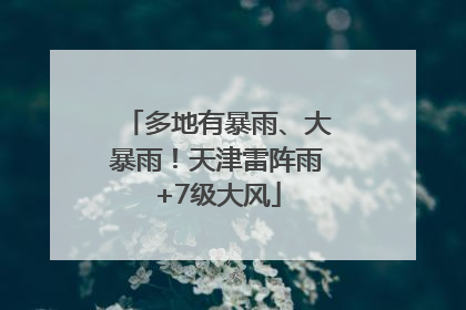 多地有暴雨、大暴雨！天津雷阵雨+7级大风