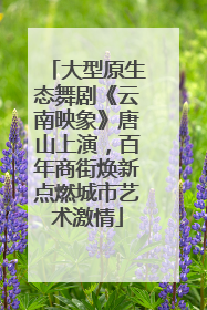 大型原生态舞剧《云南映象》唐山上演，百年商街焕新点燃城市艺术激情