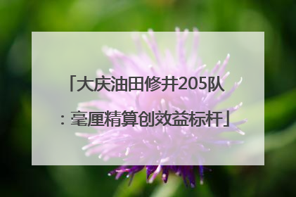 大庆油田修井205队：毫厘精算创效益标杆