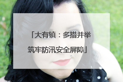 大有镇：多措并举筑牢防汛安全屏障