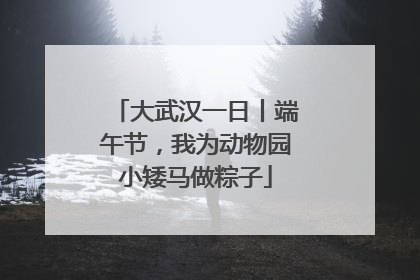 大武汉一日丨端午节，我为动物园小矮马做粽子