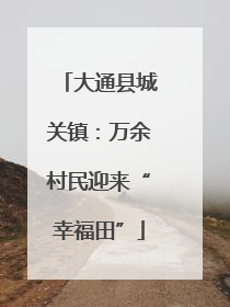 大通县城关镇：万余村民迎来“幸福田”