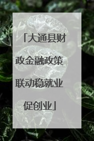 大通县财政金融政策联动稳就业促创业