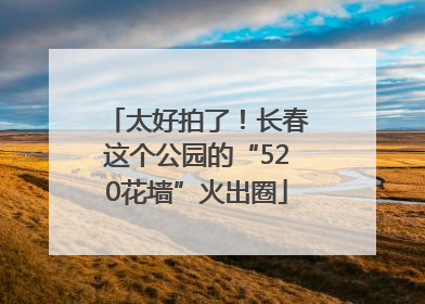 太好拍了！长春这个公园的“520花墙”火出圈