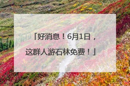 好消息！6月1日，这群人游石林免费！
