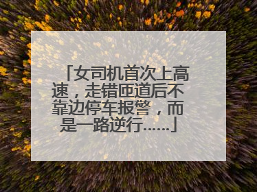 女司机首次上高速，走错匝道后不靠边停车报警，而是一路逆行……