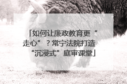 如何让廉政教育更“走心”？常宁法院打造“沉浸式”庭审课堂