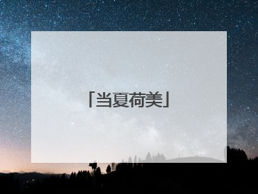 当夏荷美