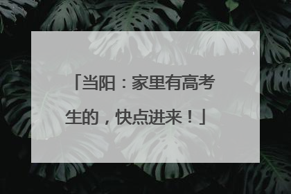 当阳：家里有高考生的，快点进来！
