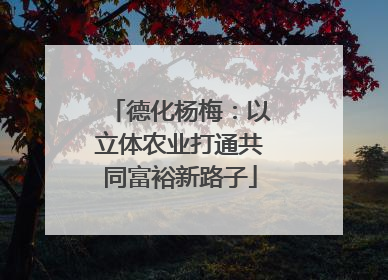 德化杨梅：以立体农业打通共同富裕新路子