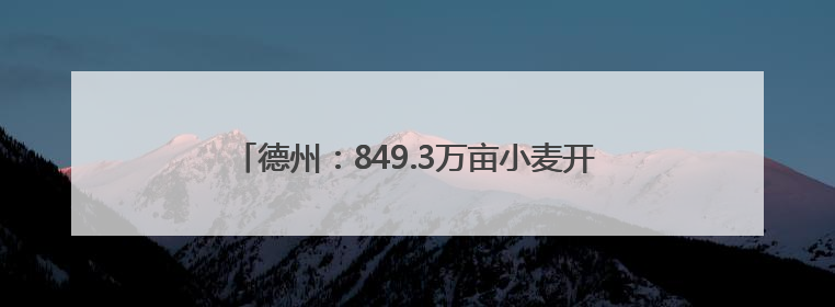 德州：849.3万亩小麦开镰收割 高效农机减损助增收