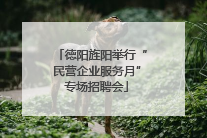 德阳旌阳举行“民营企业服务月”专场招聘会