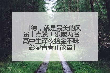 德，就是最美的风景丨点赞！乐陵两名高中生深夜拾金不昧 彰显青春正能量
