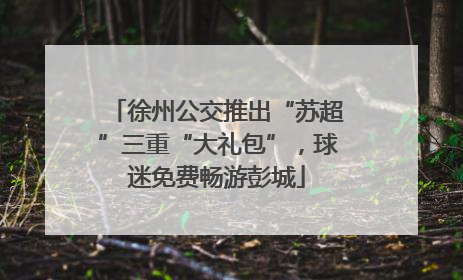 徐州公交推出“苏超”三重“大礼包”，球迷免费畅游彭城